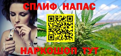 Альфа ПВП Тула