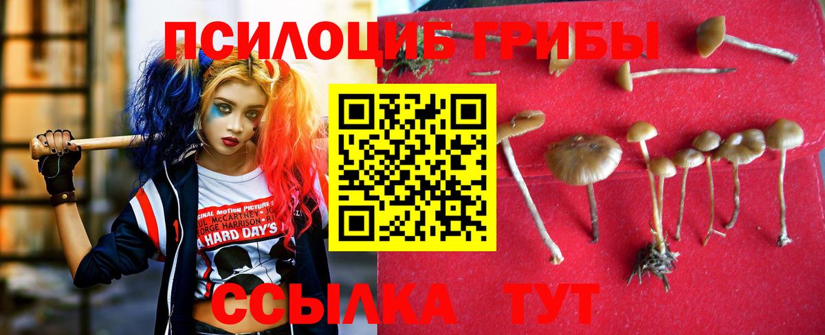 Галлюциногенные грибы прущие грибы Острогожск