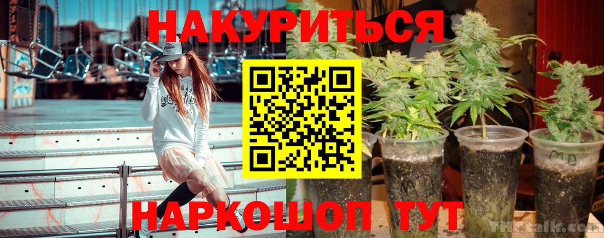 Каннабис Ganja  Вход с VPN  Острогожск  Канабис White Widow  Марихуана THC 21% 